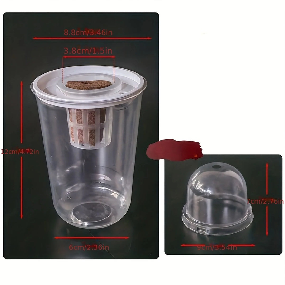 Clear Hydroponic Seed Germination Cup – Transparent Starter Pot