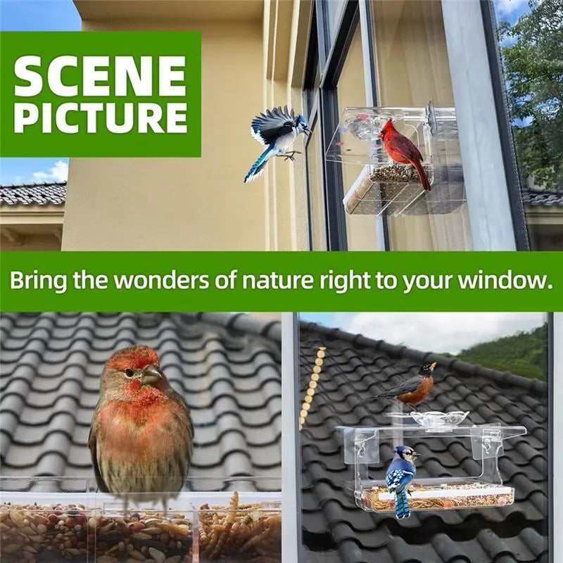 Clear Window Bird Feeder with Self-Adhesive Suction Hooks