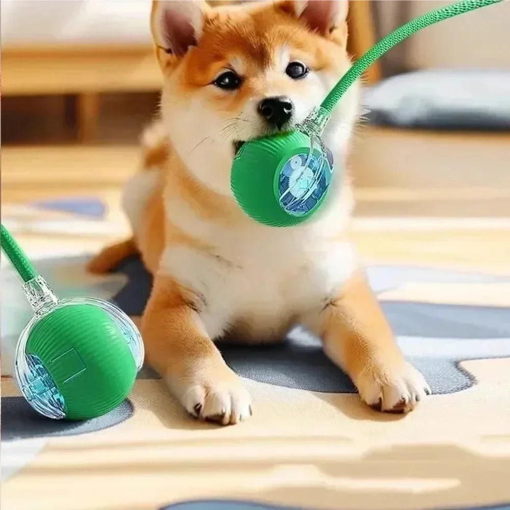 Automatic Rolling Ball Cat Toy – Rechargeable Interactive Pet Toy