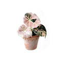 Rotatable Leaf Fridge Magnet Multicolor Acrylic DIY Décor