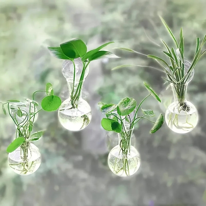 4-Pack Window Suction Cup Plant Propagation Station Vases