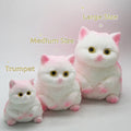 Chubby Cat Squeeze Toy Soft TPR Fidget & Gift – Cute Cat Figure