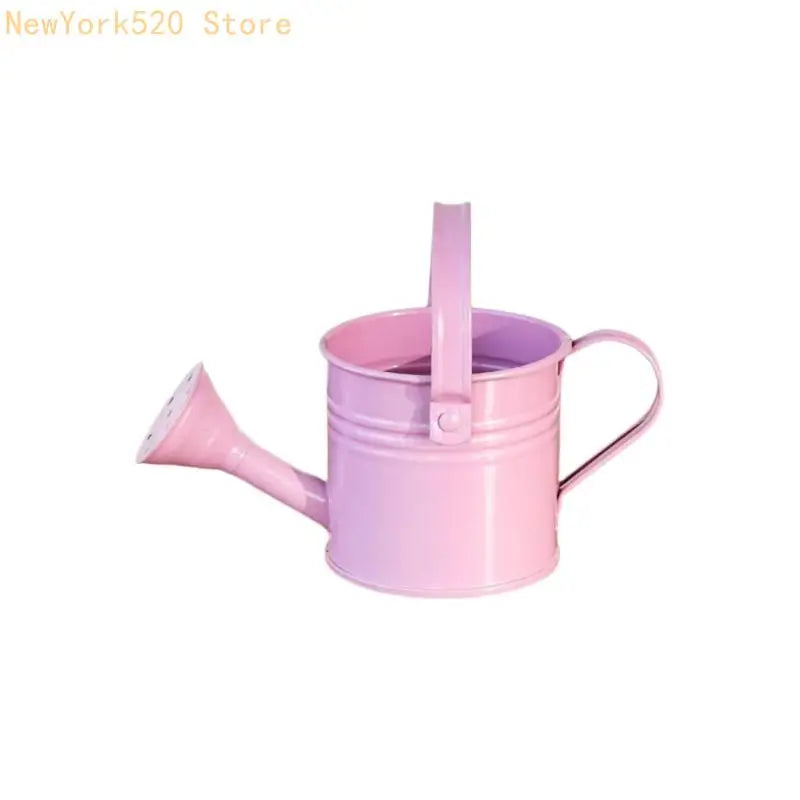 Heavy-Duty Iron Garden Sprayer – Multi-Pattern Nozzle