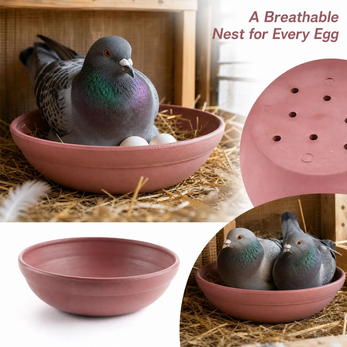 Round Plastic Pigeon Nest Bowl with Ventilation Holes | Bird Breeding