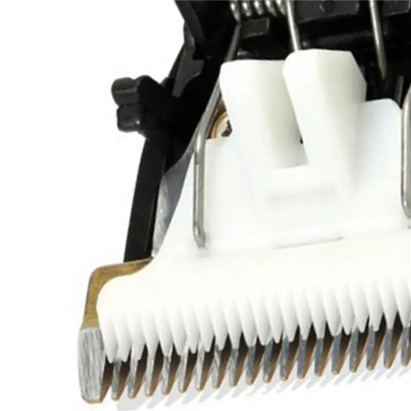 10-Pack Titanium Blades for FENGBA RFCD-9100 9600 Dog Clipper