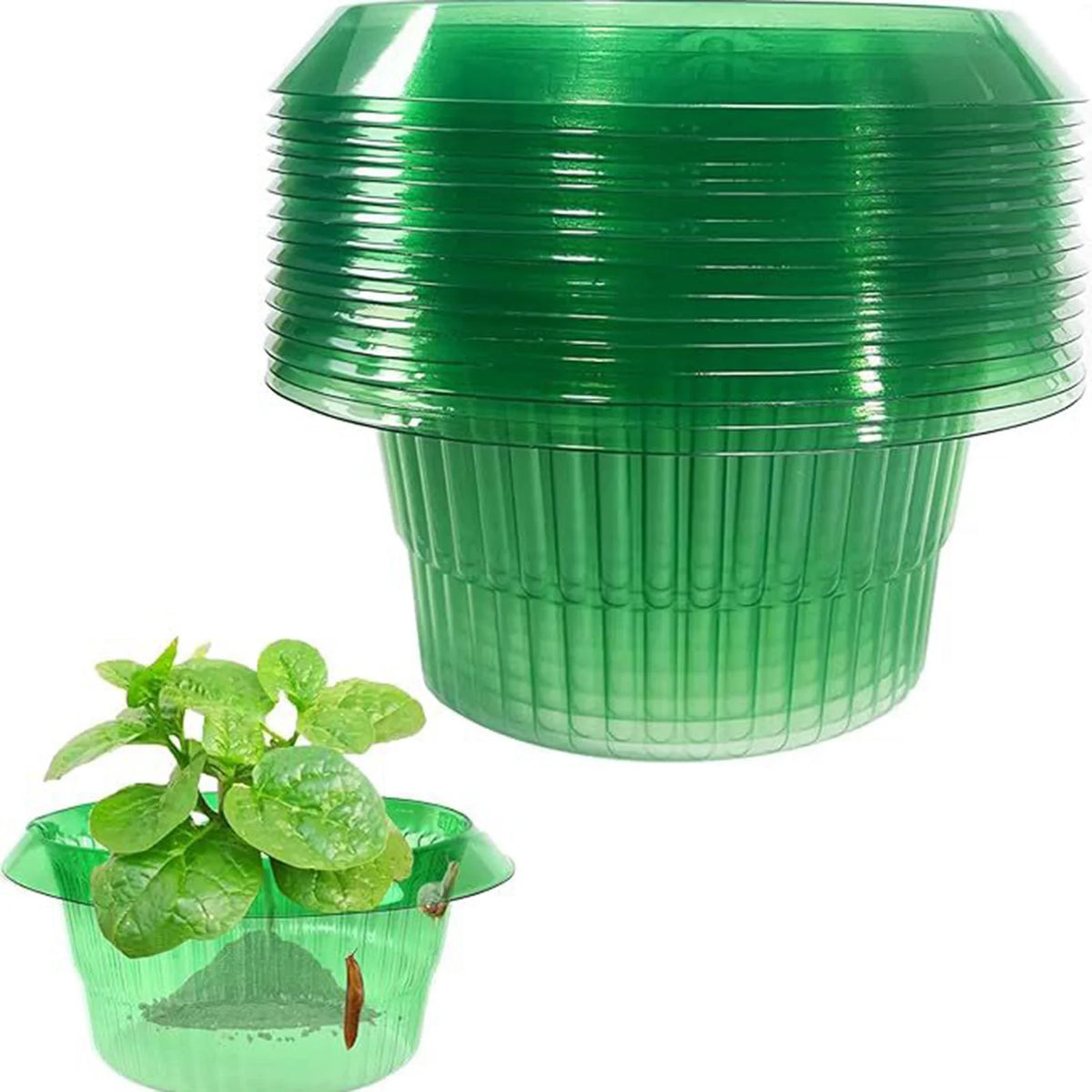 Reusable Garden Snail & Slug Collar Plant Protectors 1–20 Pack