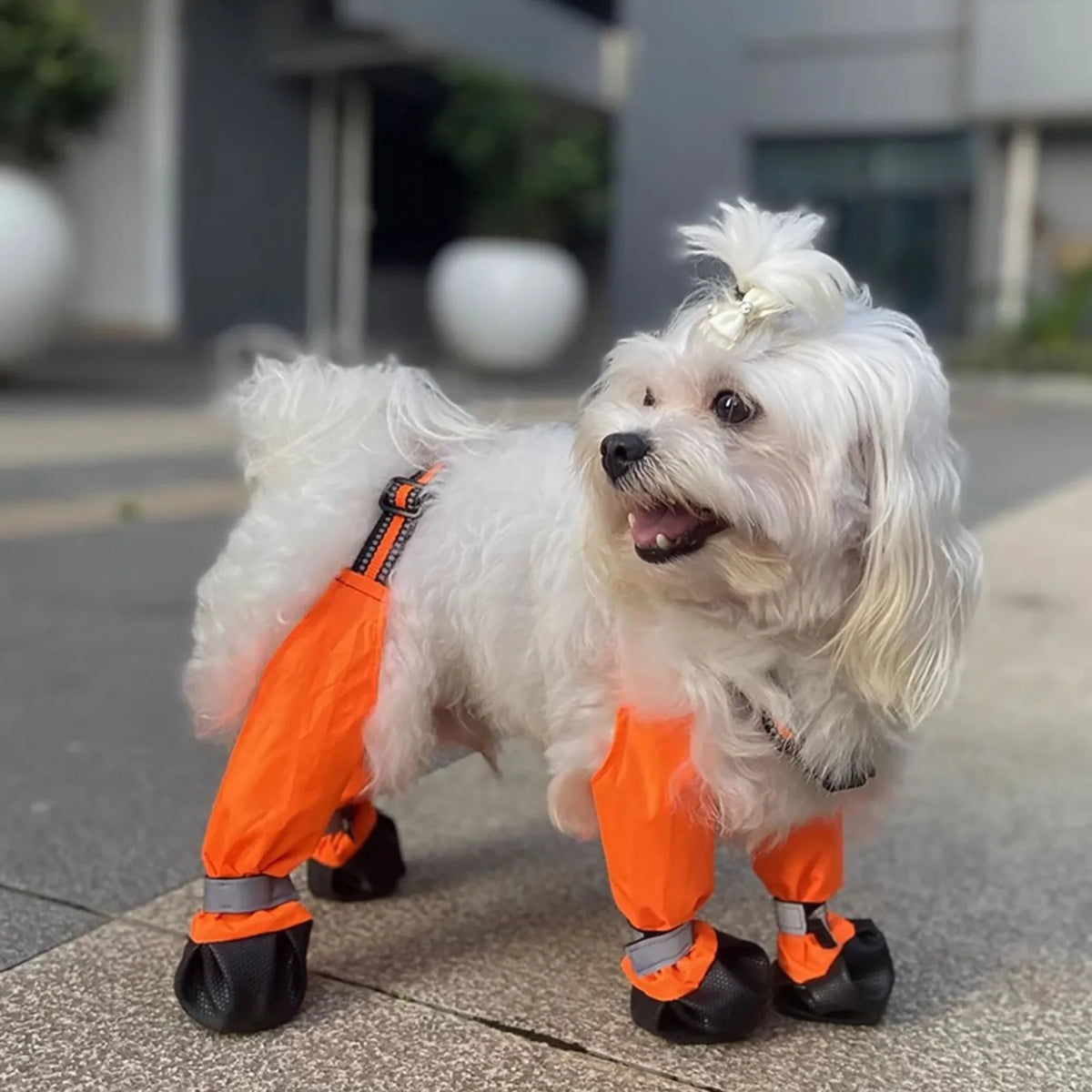 Waterproof Dog Boots with Suspenders | Anti-Slip Pet Shoes