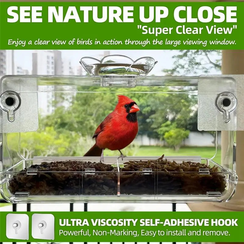 Clear Window Bird Feeder with Self-Adhesive Suction Hooks