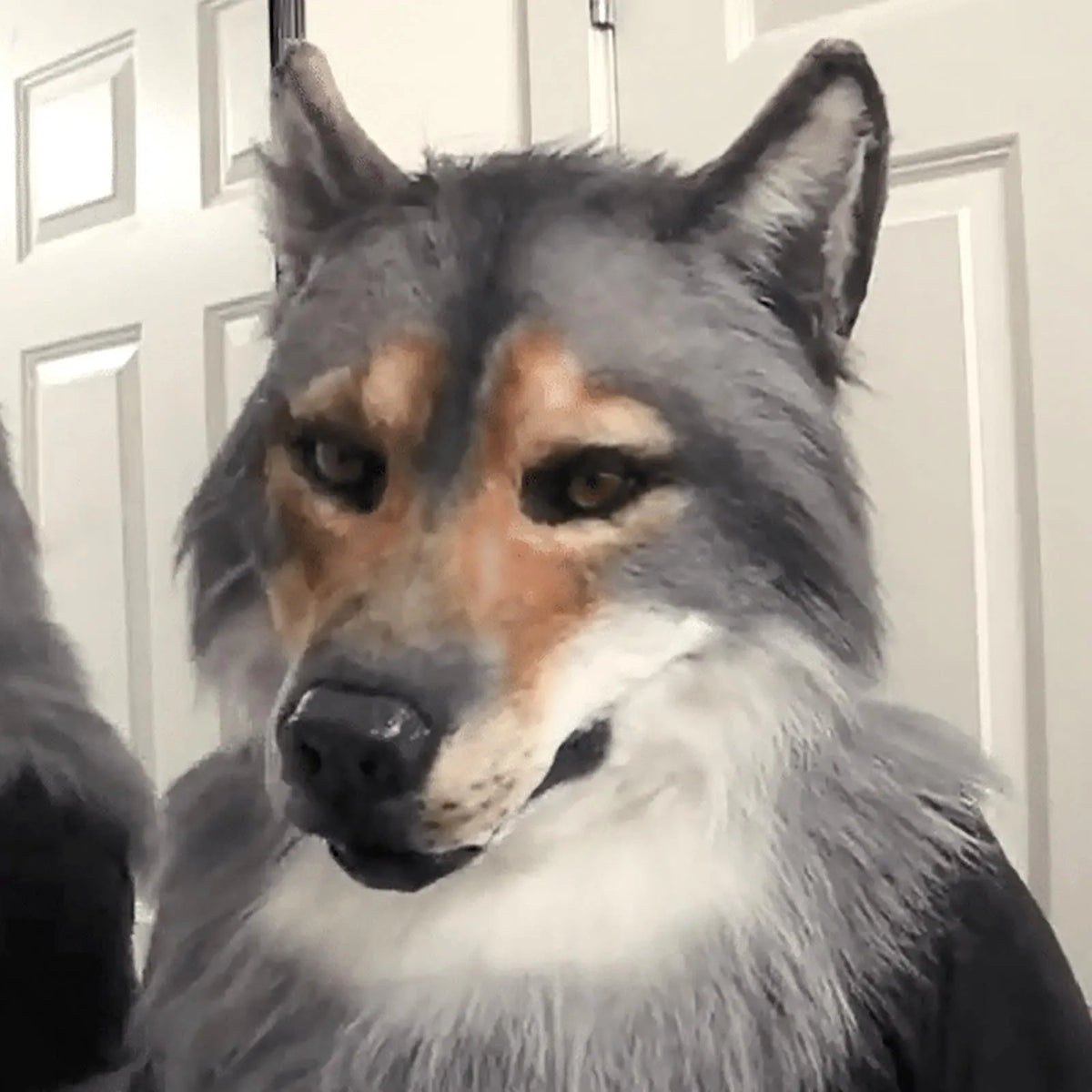 Wolf Costume Mask Headwear for Halloween Cosplay & Masquerade