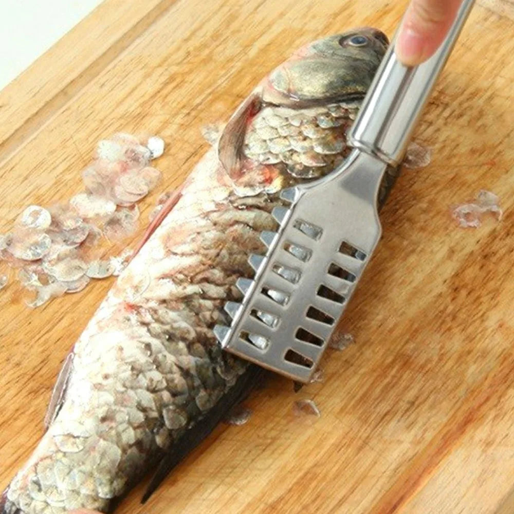 Stainless Steel Fish Descaler – Handheld Scale Remover Tool