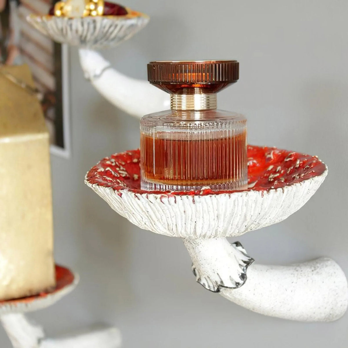 Resin Mushroom Floating Wall Shelf – Creative Home Decor