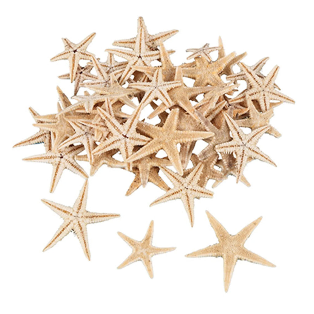 450 Pcs Mini Natural Starfish Seashells for Beach Crafts