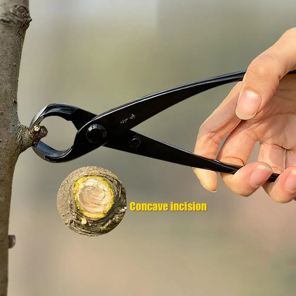 Bonsai Knob Cutter Round Edge Branch Pruning Pliers 210mm