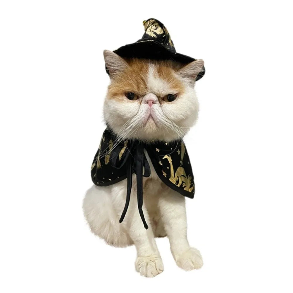 Halloween Wizard Hat & Cape Pet Costume for Cats & Dogs