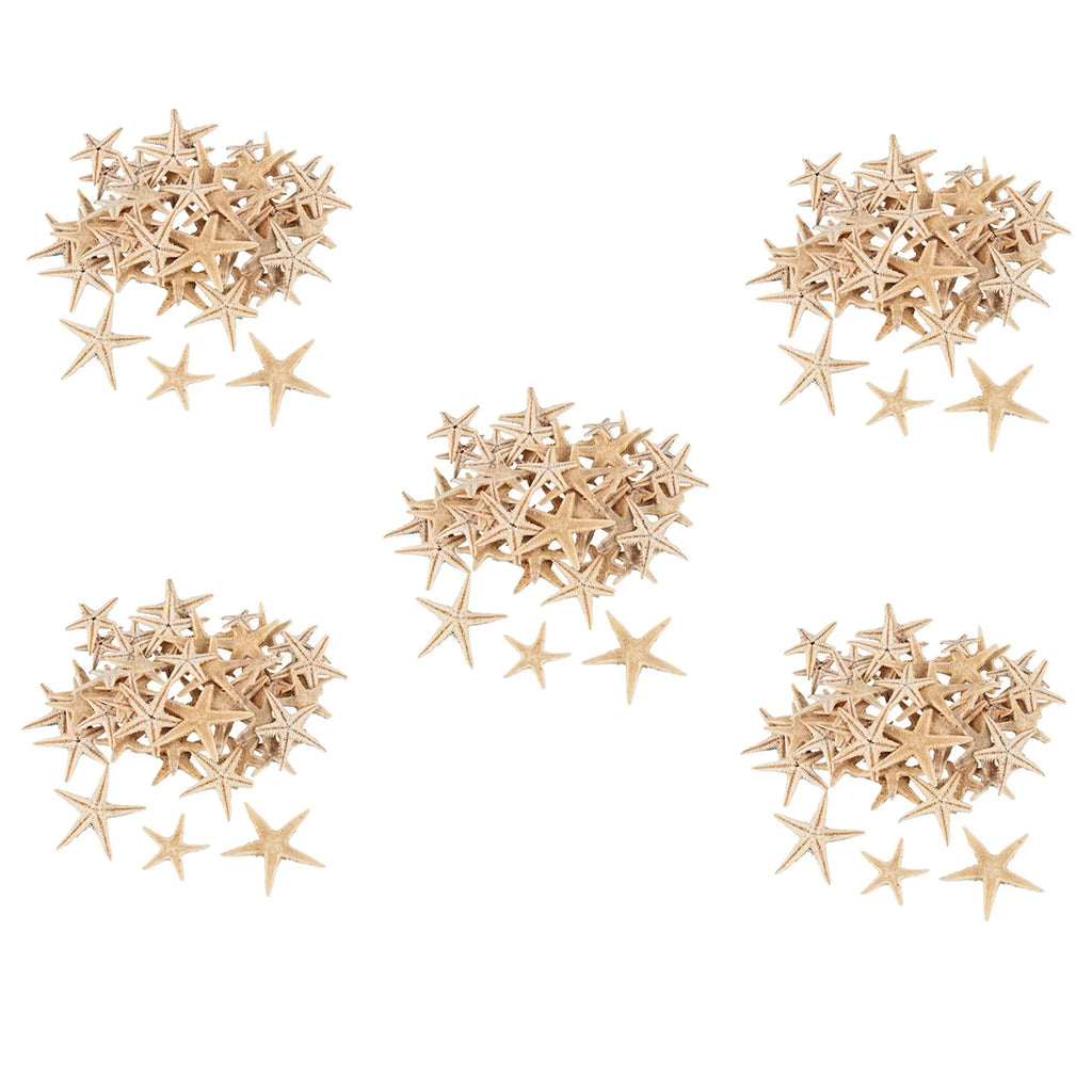 450 Pcs Mini Natural Starfish Seashells for Beach Crafts