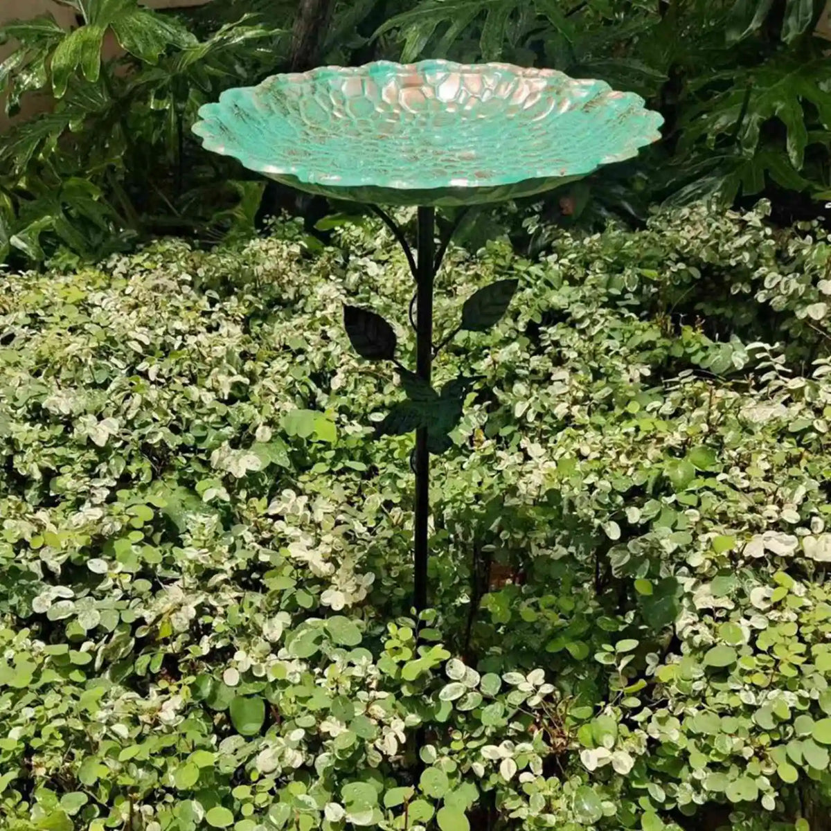 Garden Bird Bath & Hummingbird Feeder – 2-Piece Bonsai Set