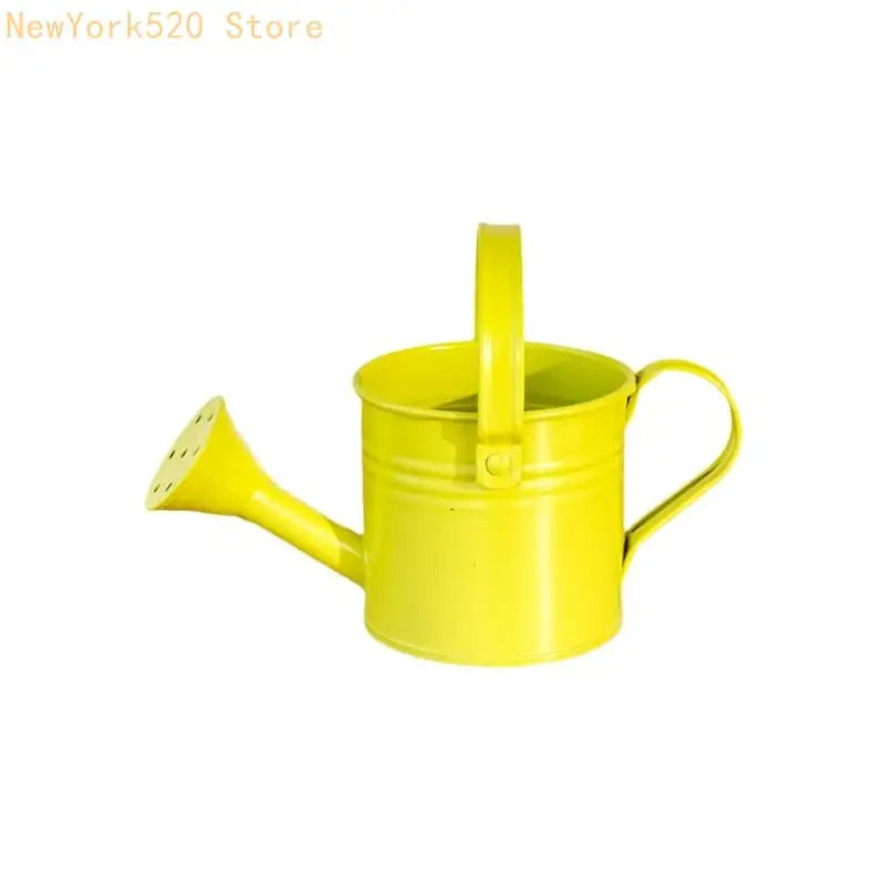 Heavy-Duty Iron Garden Sprayer – Multi-Pattern Nozzle