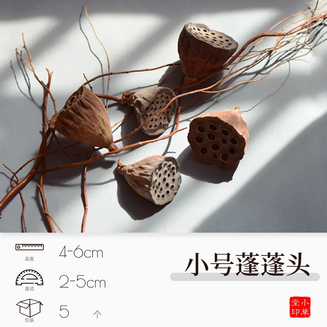 Dried Flowers, Fruits & Pine Cones DIY Natural Décor Kit