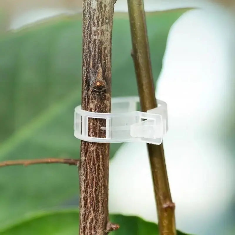 Reusable Plant Support Clips for Tomato & Climbing Vines