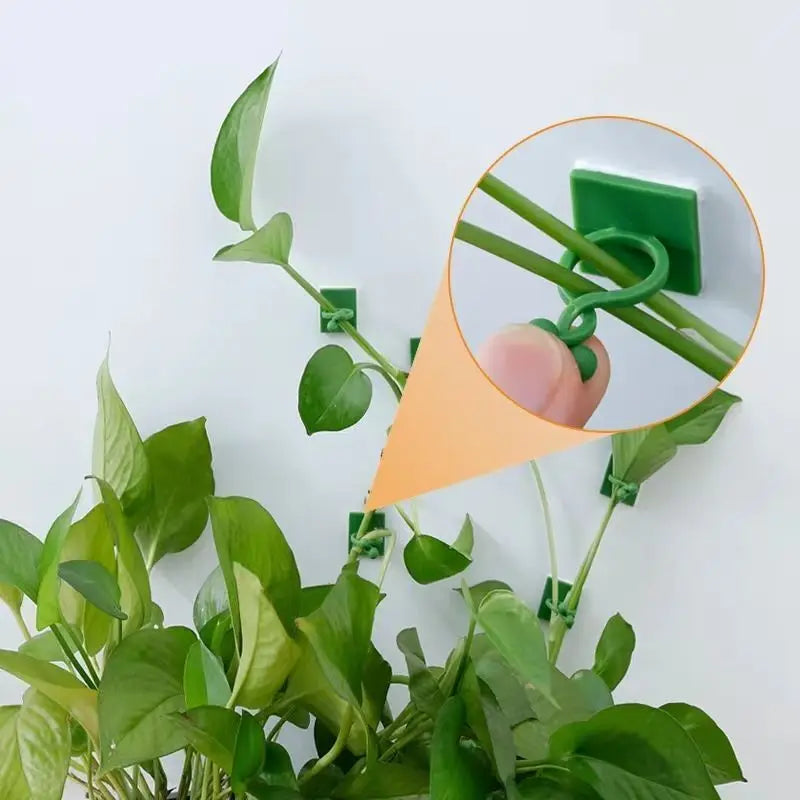 Self-Adhesive Plant Wall Clips – Punch-Free Vine Fixer Hooks