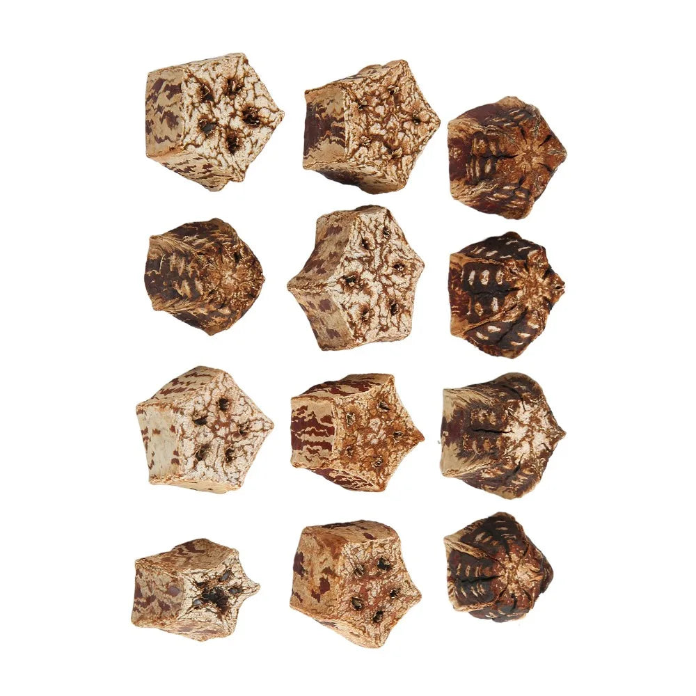 60pcs Mahogany Bird Chewing Blocks Star Shape Parrot Toy
