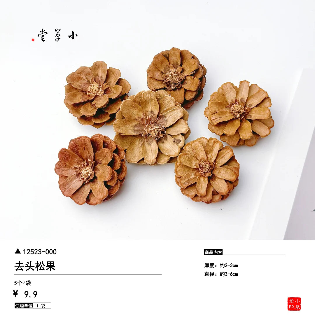 Dried Flowers, Fruits & Pine Cones DIY Natural Décor Kit
