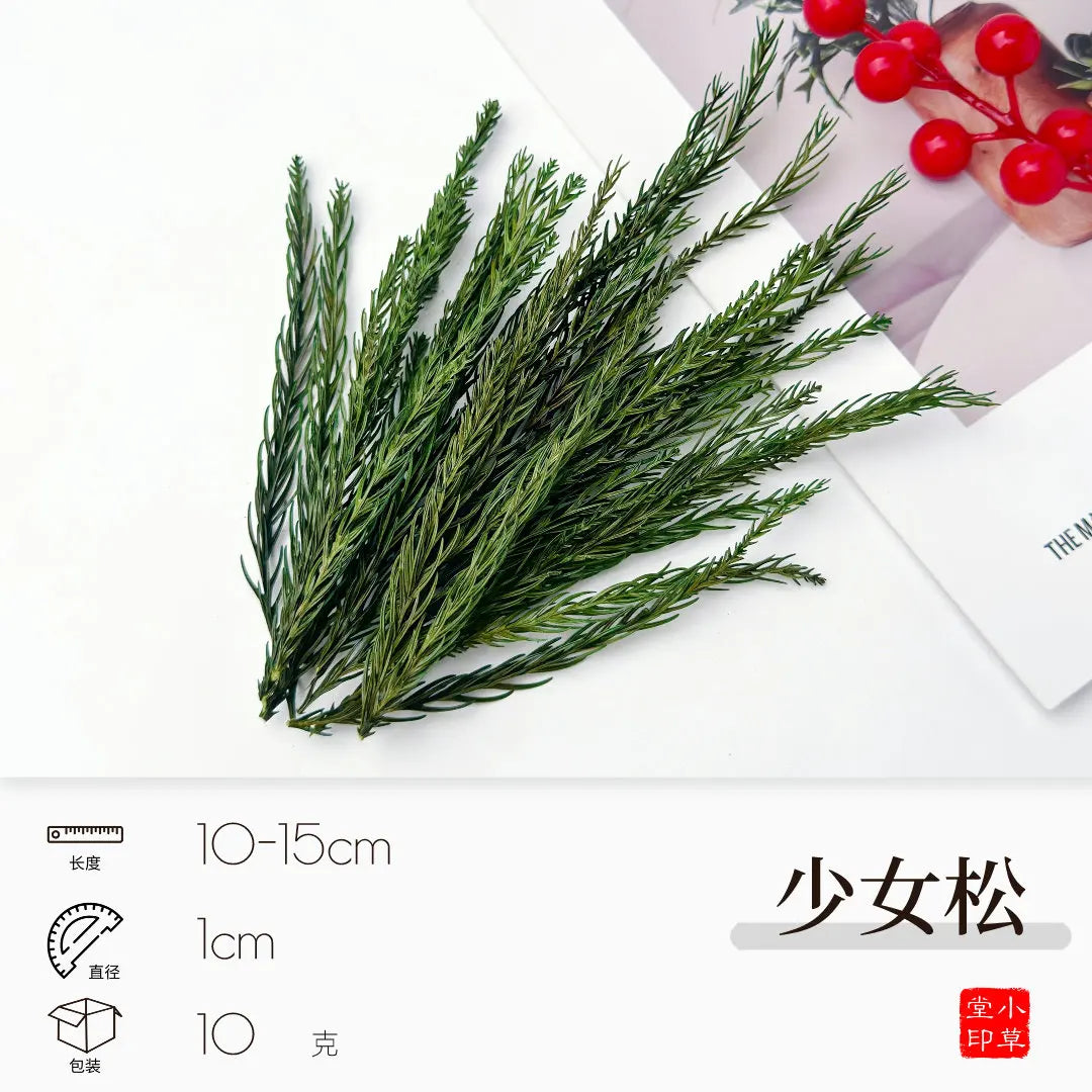 Dried Flowers, Fruits & Pine Cones DIY Natural Décor Kit