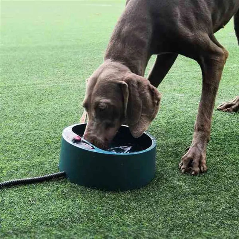 Heated Outdoor Pet Bowl 2.2L Anti-Freeze Thermostatic Dog Cat