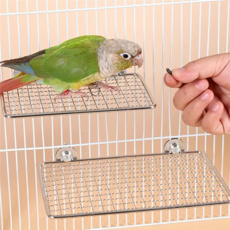Stainless Steel Parrot Perch Platform – Bird Exercise Shelf