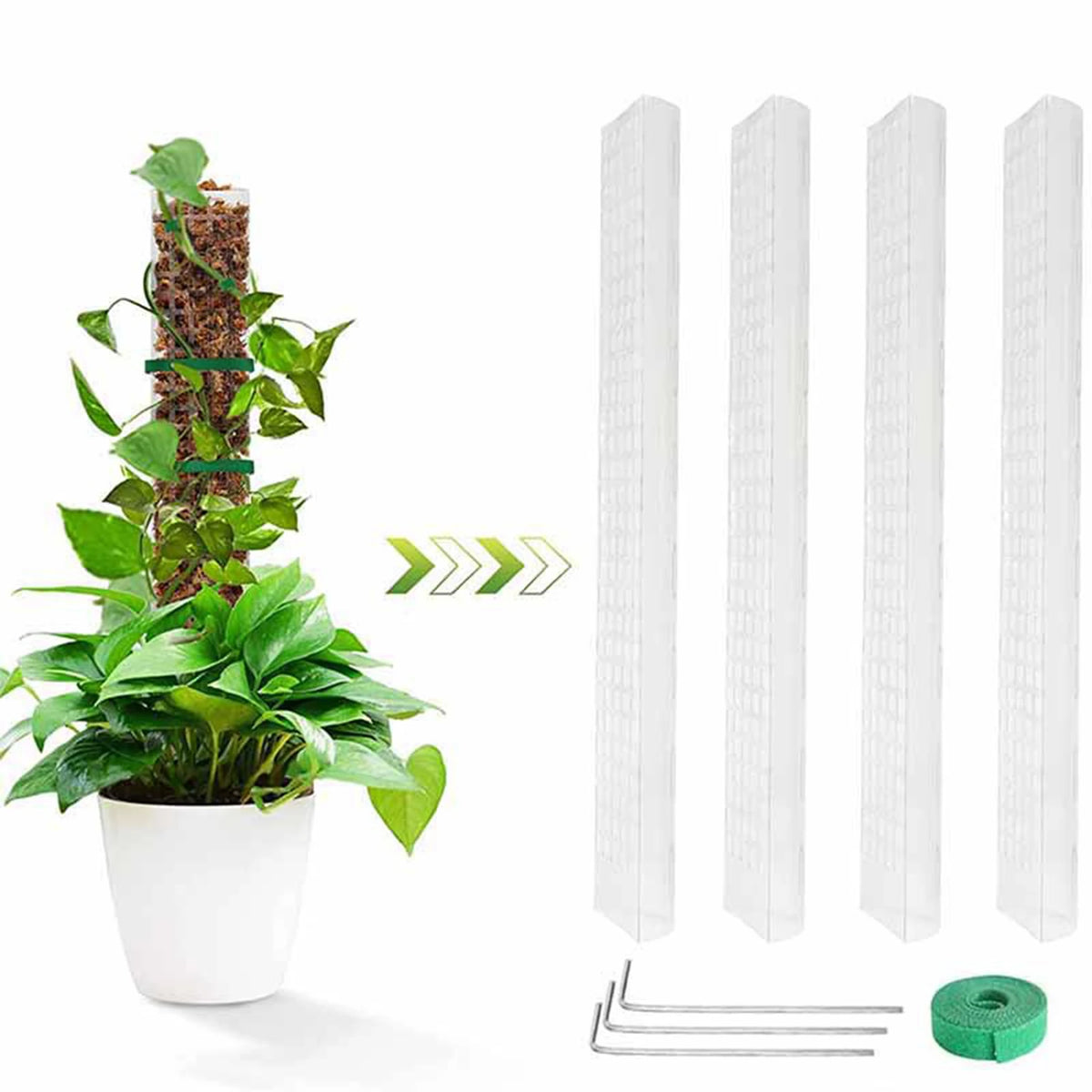4-Pack Moss Poles for Monstera, Pothos & Climbing Plants