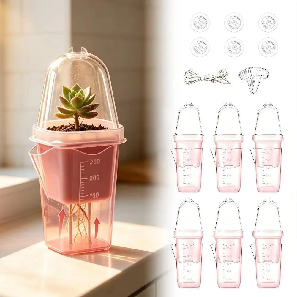 Self-Watering Transparent Nursery Planter – Double-Layer Pot