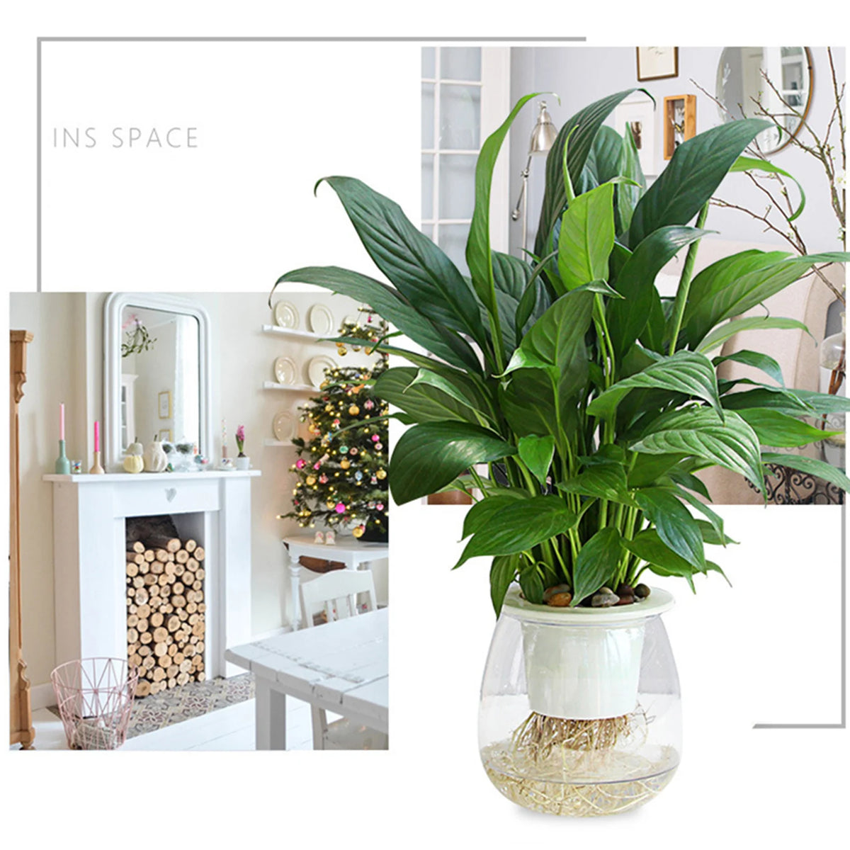 Mini Spherical Transparent Self-Watering Succulent Planter