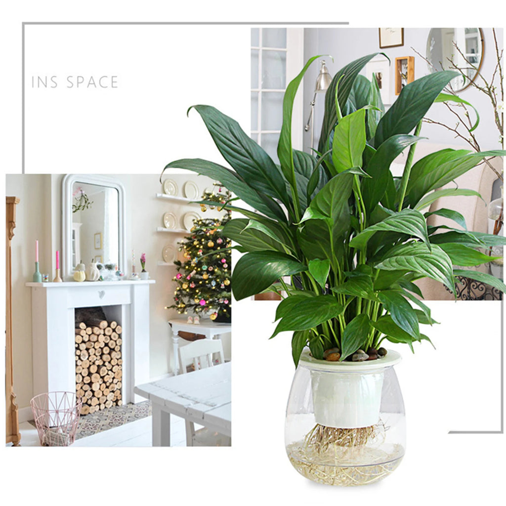 Mini Transparent Self-Watering Succulent Planter Pot