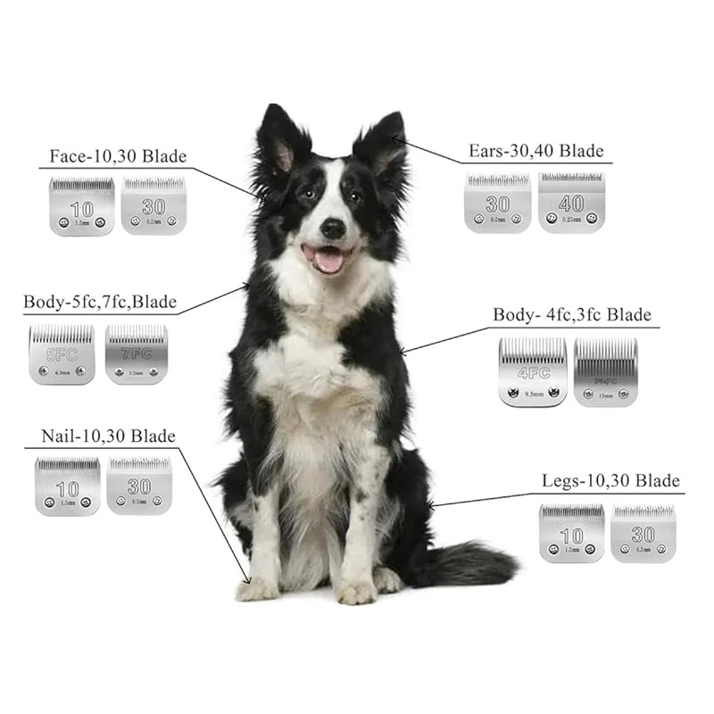 Professional Pet Clipper Blade – Fits Andis, Oster A5 & Wahl KM