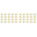 40-Pack Battery Fairy Lights 3.3Ft 20 LED Warm White String
