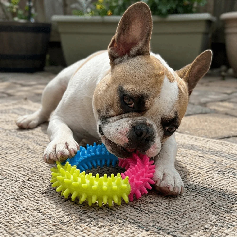 Spiked Ring TPR Dog Chew Toy – Interactive Molar Toy