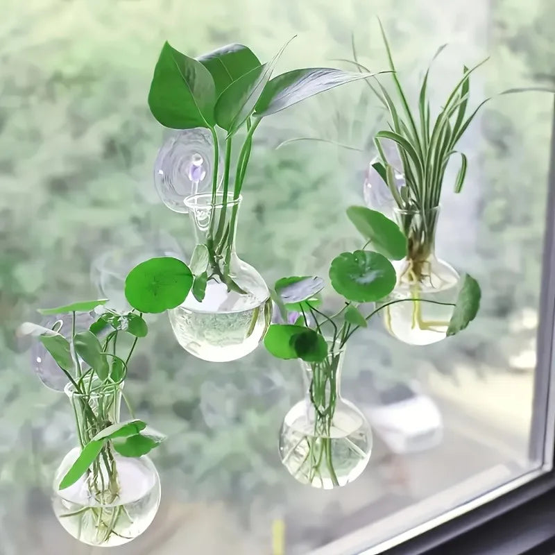 4-Pack Window Suction Cup Plant Propagation Station Vases