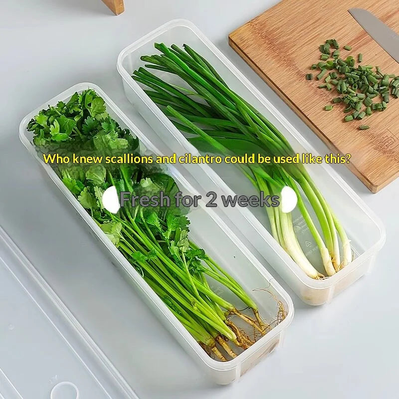 PP Refrigerator Storage Box with Lid | Fresh Keeper Organizer