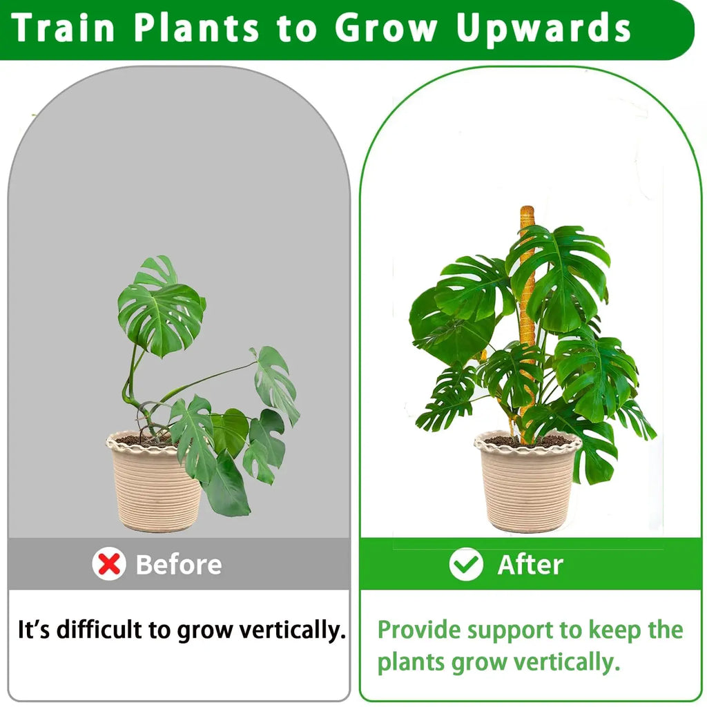 Stackable Coir Moss Poles for Monstera & Climbing Plants