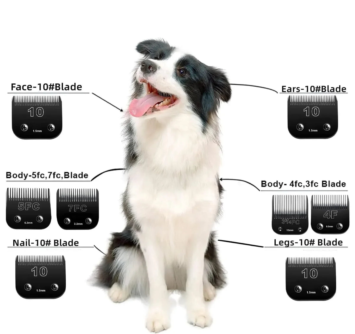 Professional Detachable Pet Clipper Blades – Wahl, Andis, Oster