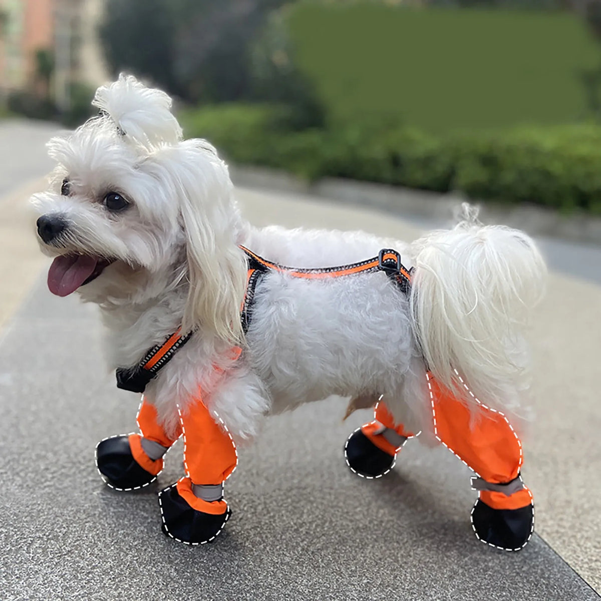 Waterproof Dog Boots with Suspenders | Anti-Slip Pet Shoes
