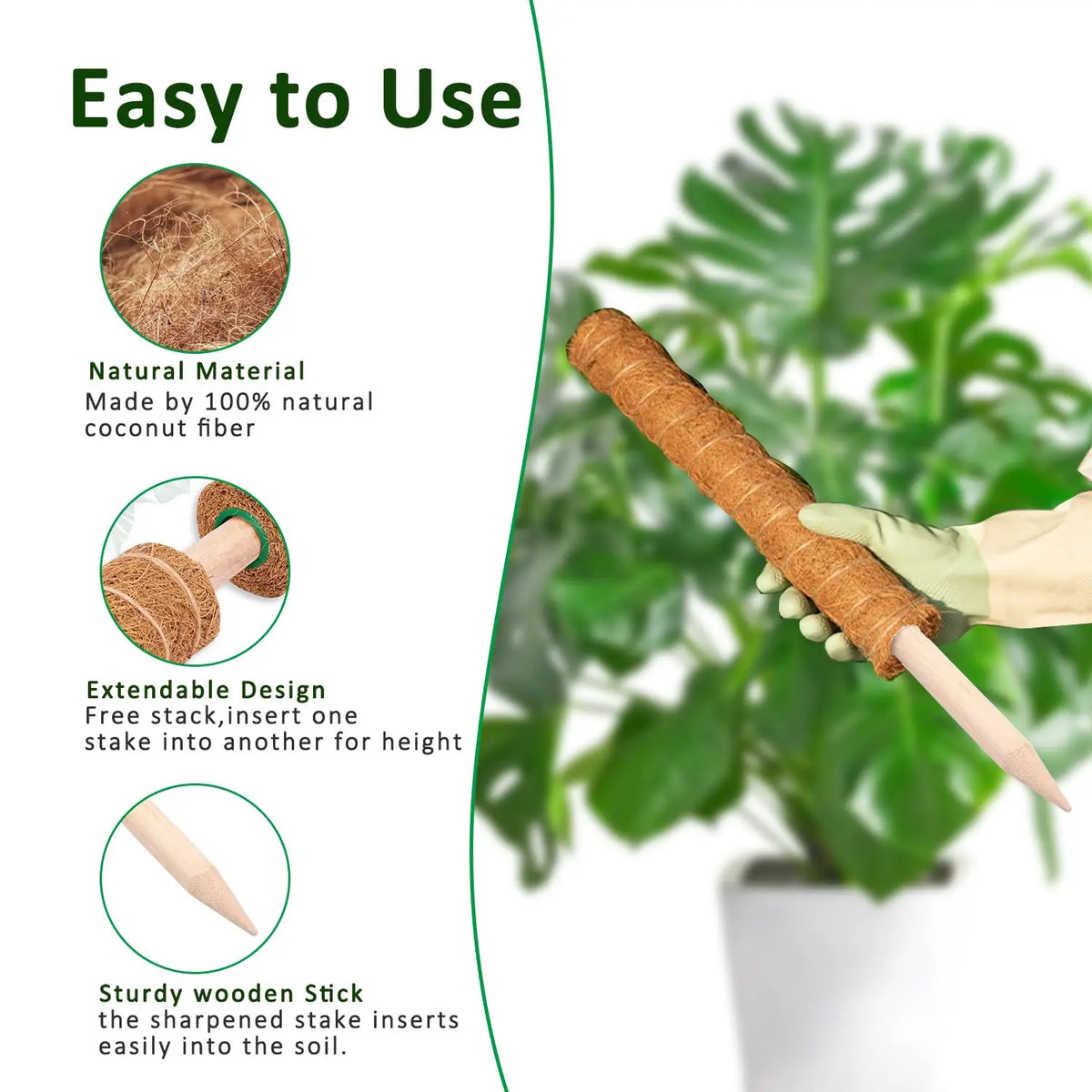 Stackable Coir Moss Poles for Monstera & Climbing Plants