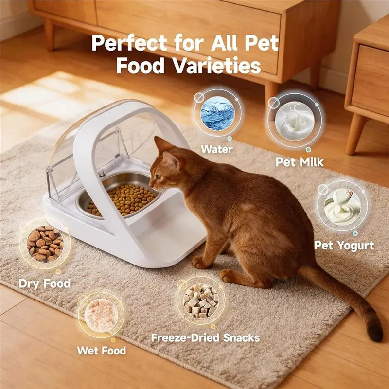 6-Pack Stainless Steel Bowls for RFID Microchip Cat Feeder