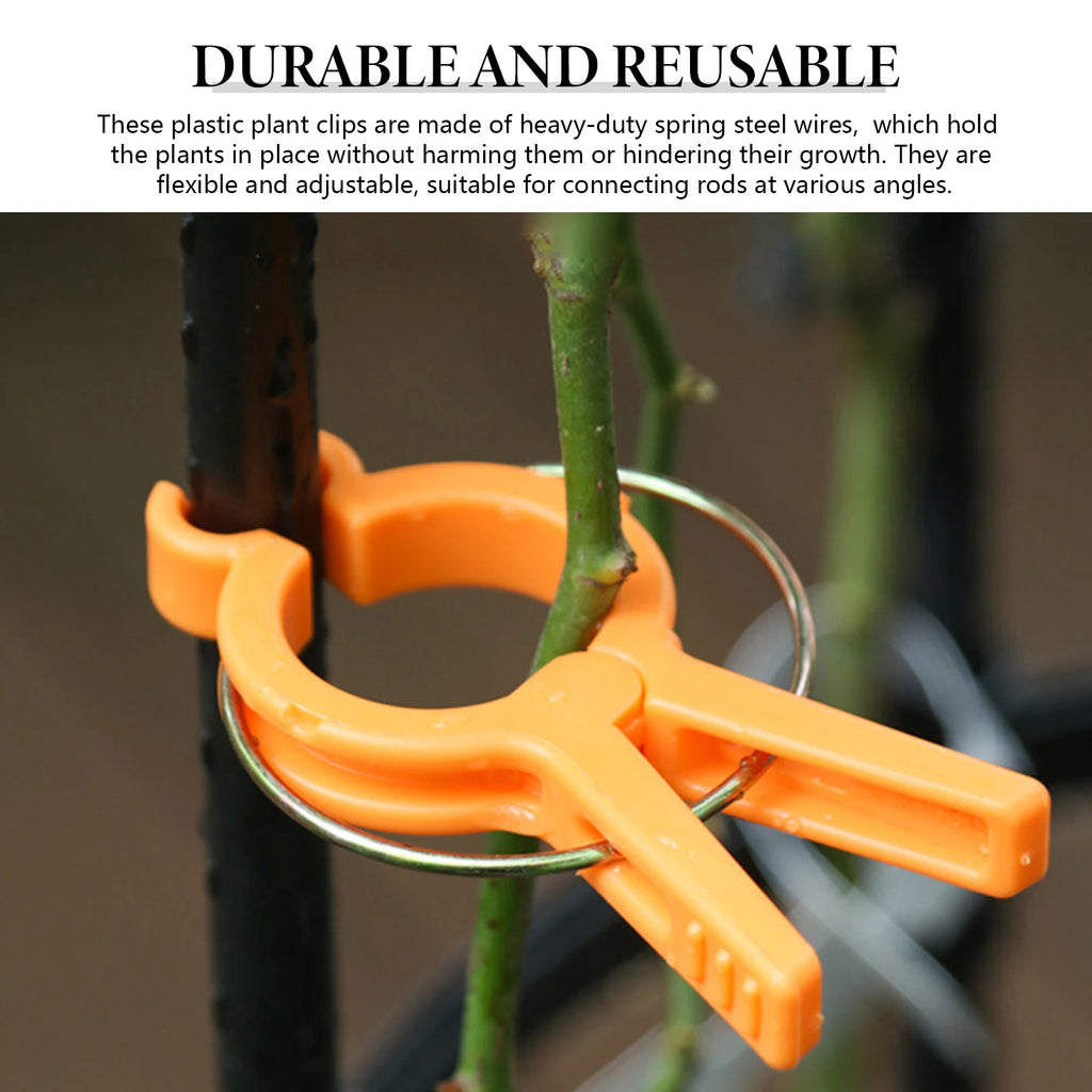 Plastic Garden Plant Support Clips 12-Pack – 2.5cm PP