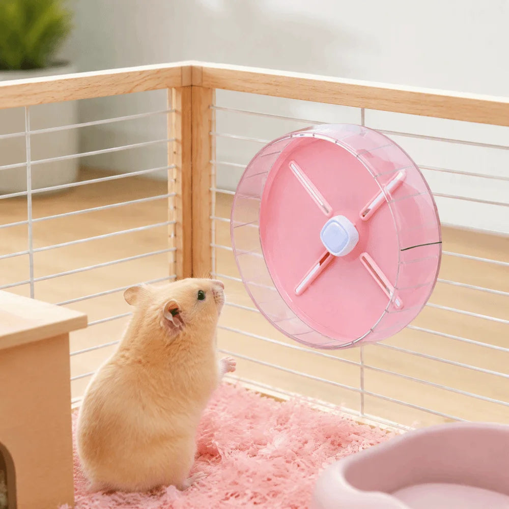 Silent Acrylic Hamster Exercise Wheel 20cm – Anti-Slip Design