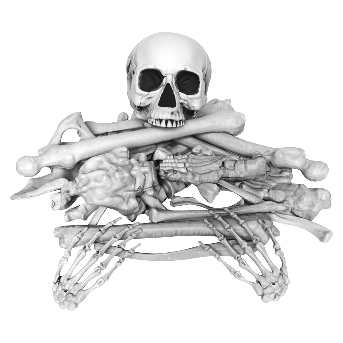 Life-Size Halloween Skeleton Prop – Full Body Decoration Set