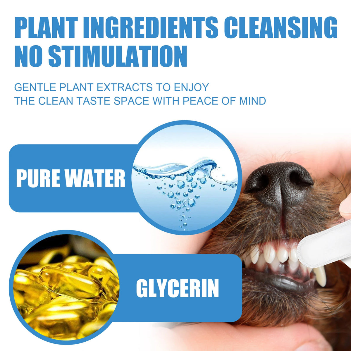 Pet Dental Finger Wipes for Dogs & Cats – 50 Pcs Oral Care