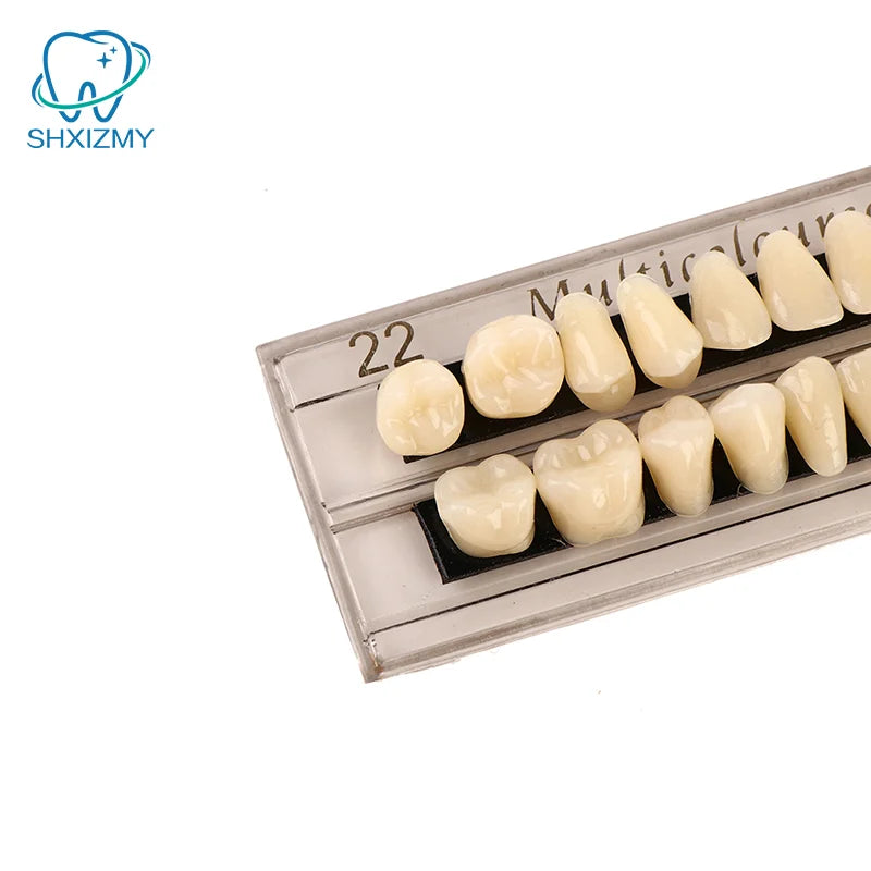 28-Pc Acrylic Resin Denture Teeth Set & 3D Shade Guide