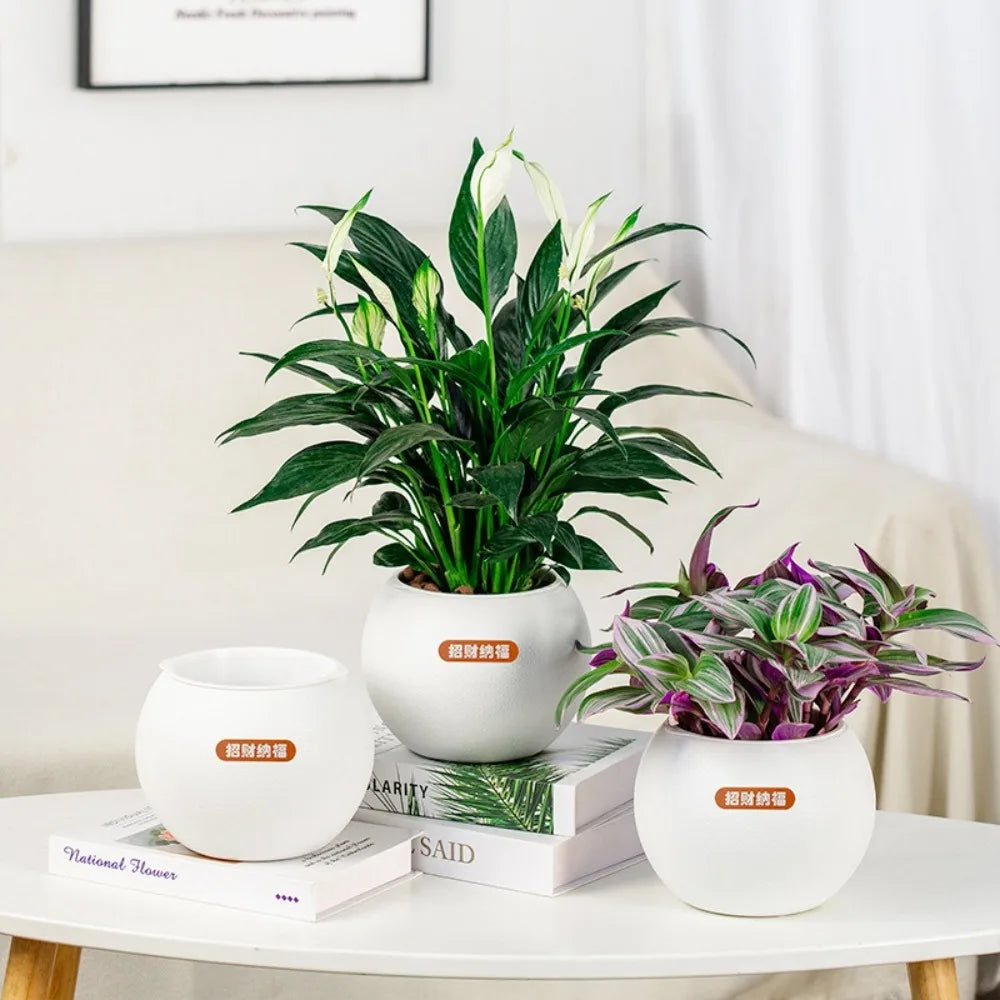 Self Watering Hydroponic Planter | Roman Column Tabletop Vase