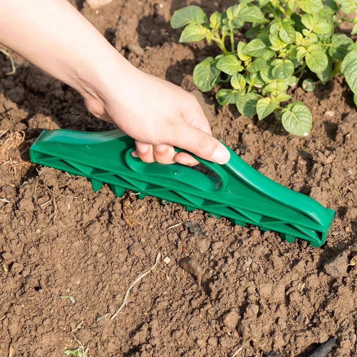 Manual Garden Dibber Seed Spacing Tool – Plastic Soil Puncher
